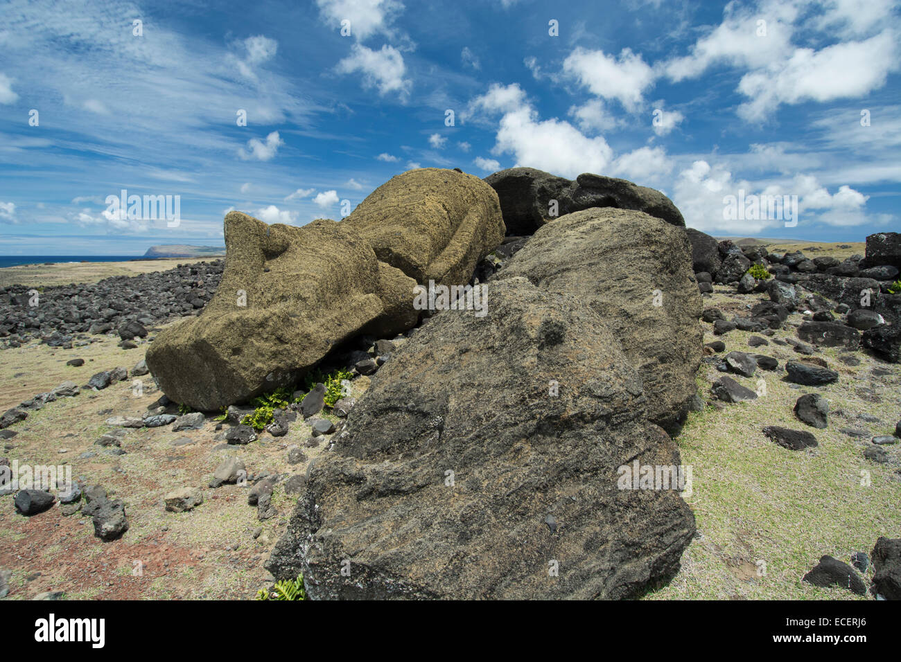 Il Cile, Isola di Pasqua aka Rapa Nui. Non ripristinati storico sito di moai di Ahu uno Makihi situato nei pressi di Rano Raraku. Rovesciato moai statua Foto Stock