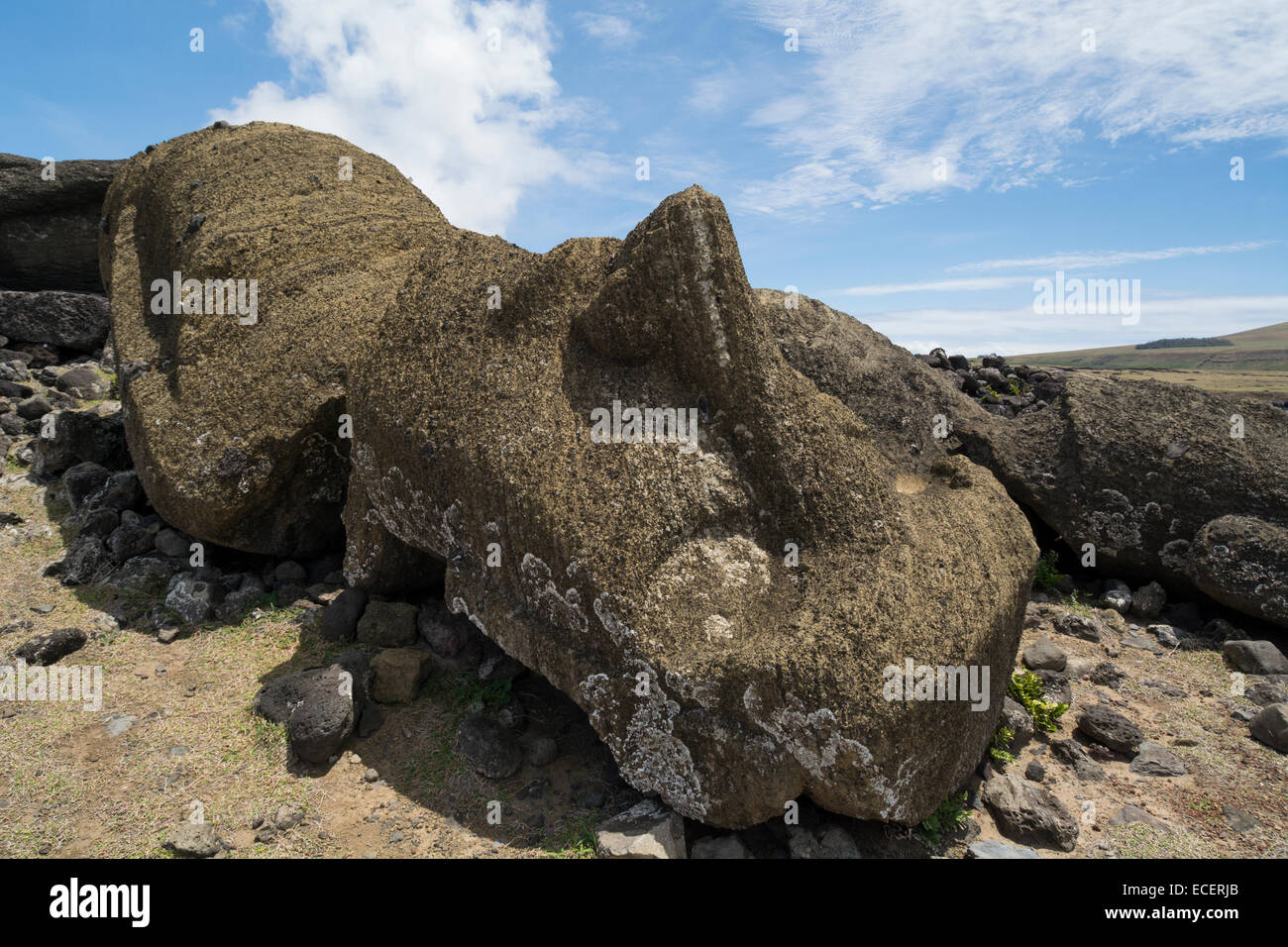 Il Cile, Isola di Pasqua aka Rapa Nui. Non ripristinati storico sito di moai di Ahu uno Makihi situato nei pressi di Rano Raraku. Rovesciato moai statua Foto Stock