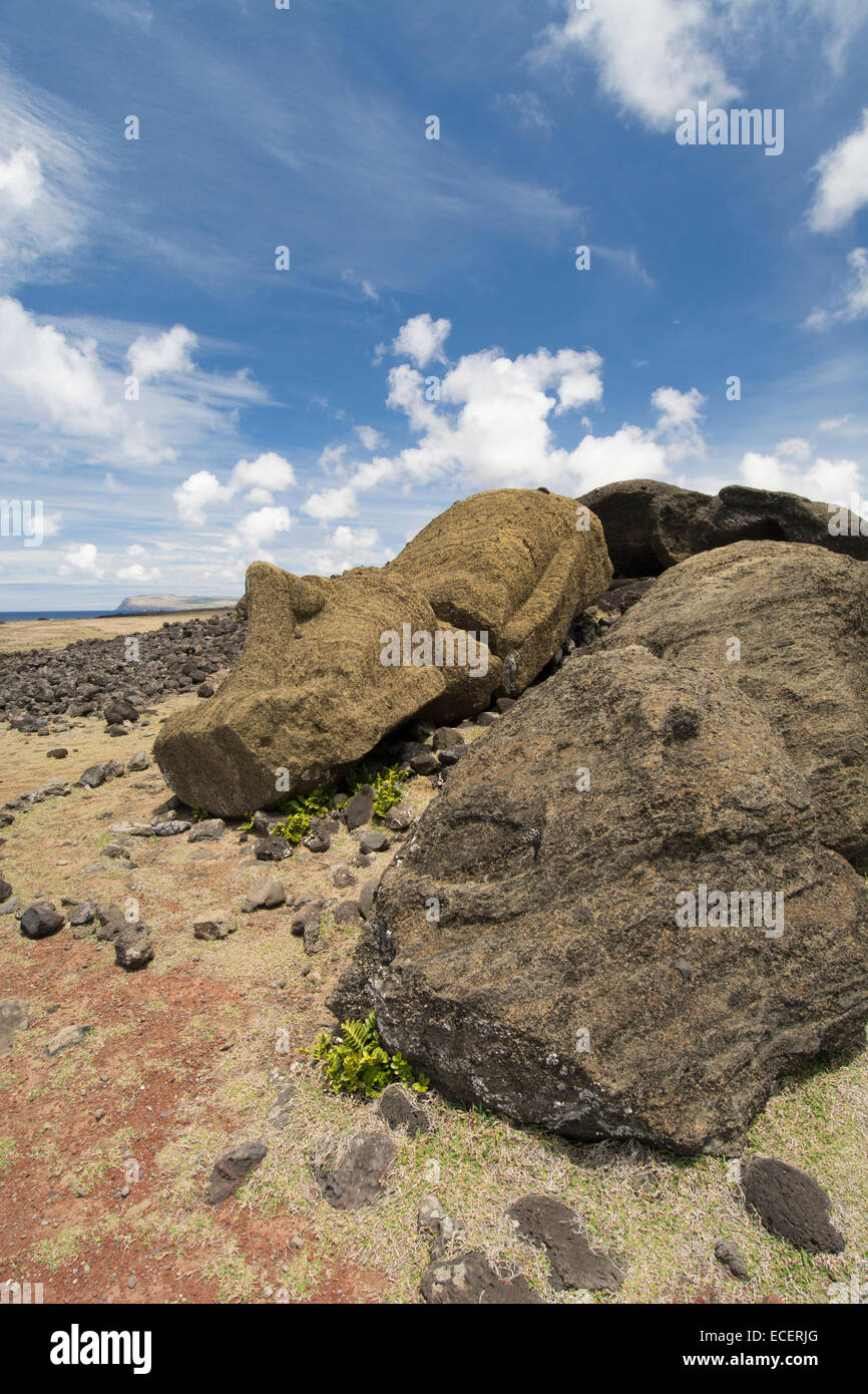 Il Cile, Isola di Pasqua aka Rapa Nui. Non ripristinati storico sito di moai di Ahu uno Makihi situato nei pressi di Rano Raraku. Rovesciato moai statua Foto Stock