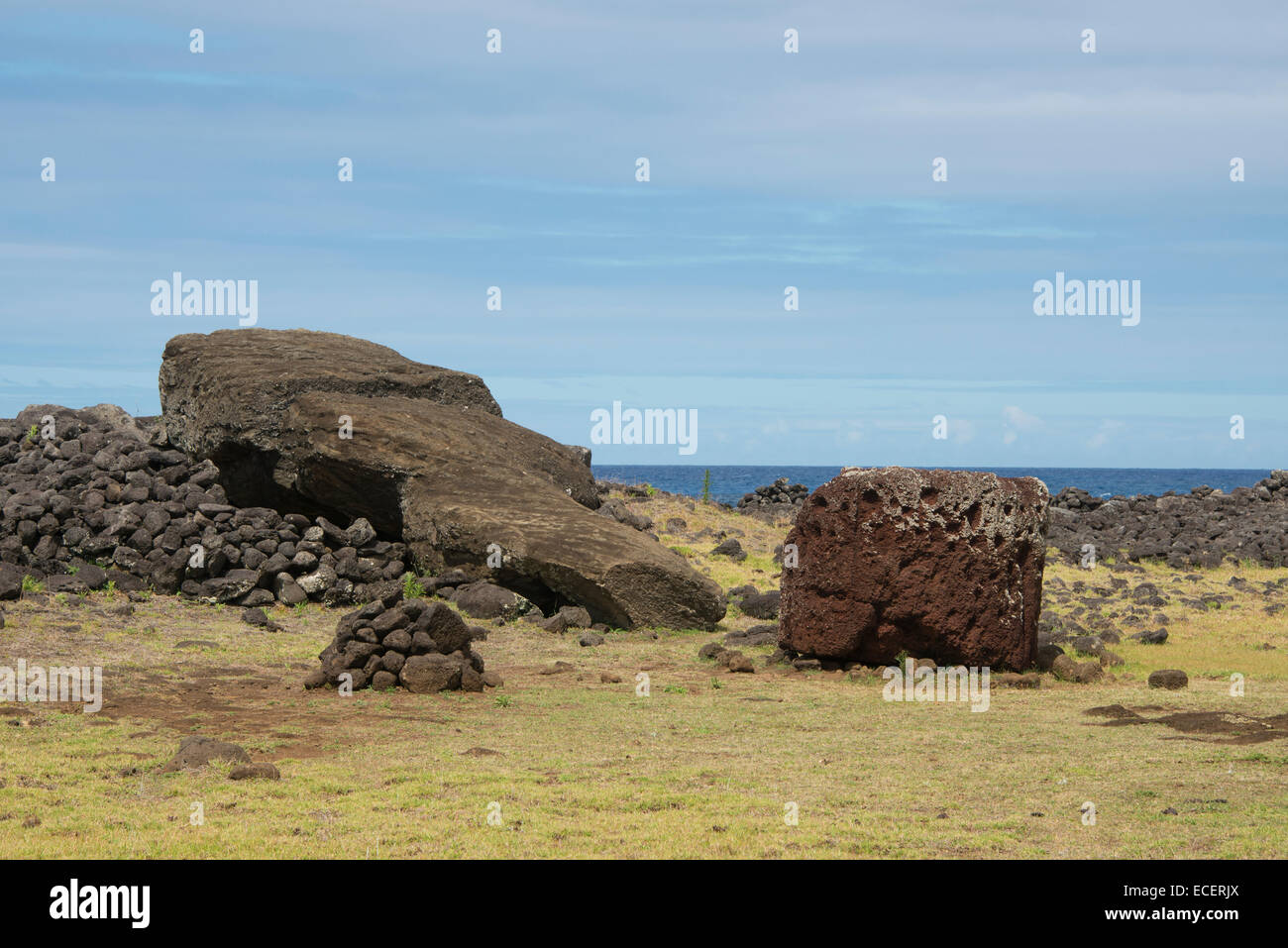 Cile, l'Isola di Pasqua. Te Pito Kura, Parco Nazionale di Rapa Nui. Il moai più grande (oltre 70 tonnellate, sdraiato a faccia in giù) scultura. Foto Stock