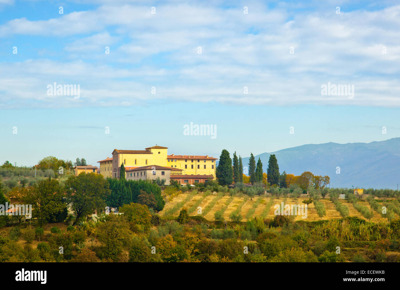 Tipica collina toscana, con cipressi, ulivi e vigneti. Foto Stock