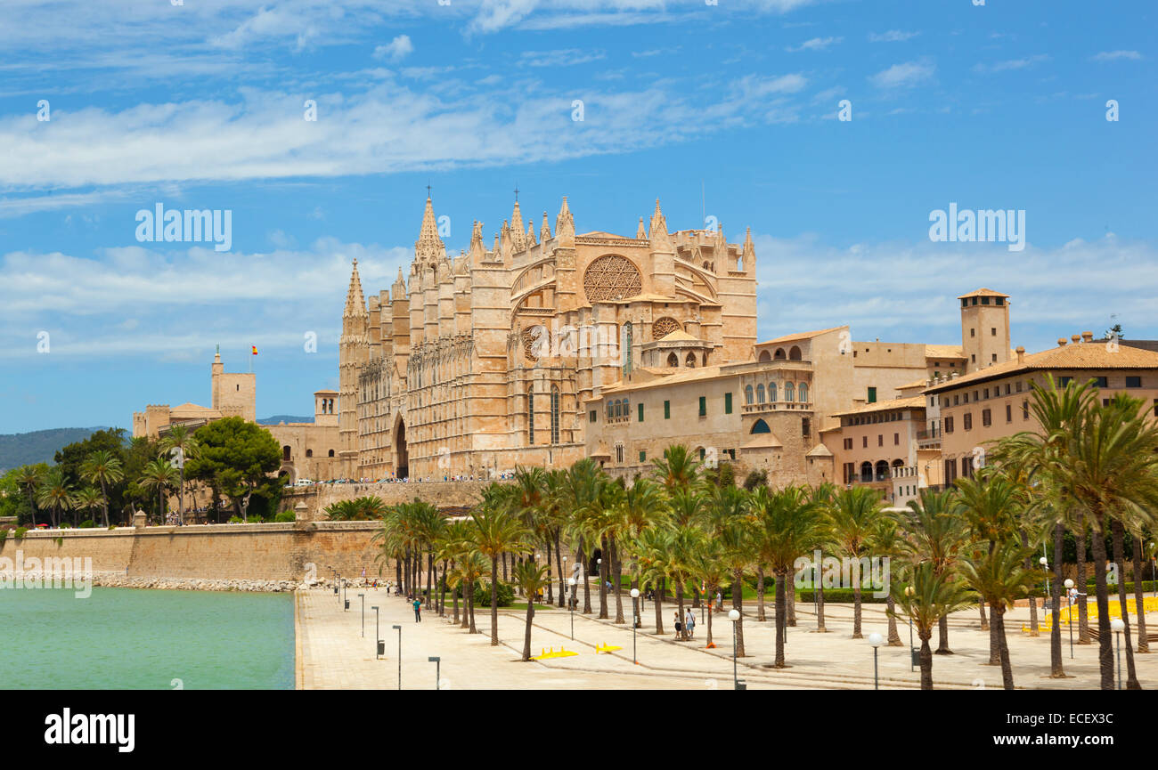 Maiorca La Seu Cathedral e Almudaina da Palma de Mallorca in Spagna Foto Stock