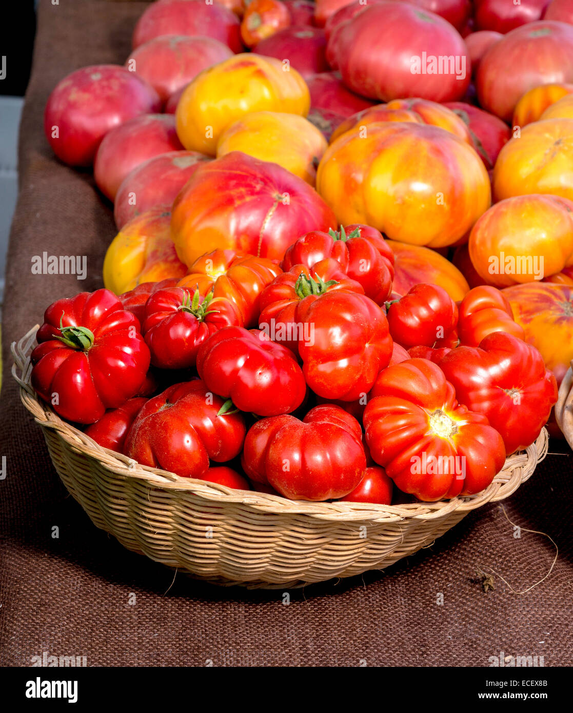Cestello di pomodoro presso il locale mercato degli agricoltori Foto Stock