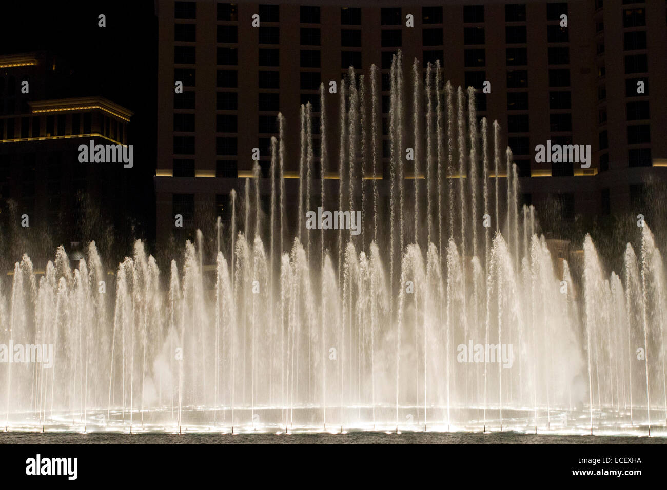Fontana di acqua caratteristica di visualizzazione al Caesars Palace Hotel & Casino di notte lungo Las Vegas Strip, la contea di Clark, Nevada, nel mese di luglio Foto Stock