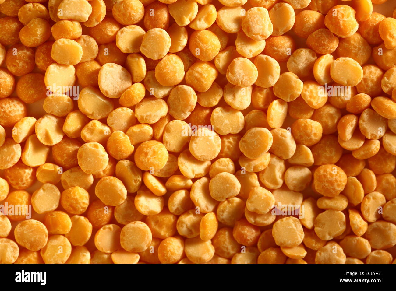 Giallo piselli secchi come sfondo Foto Stock