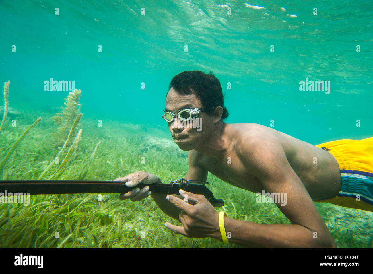Pescatore lancia sott'acqua Foto Stock