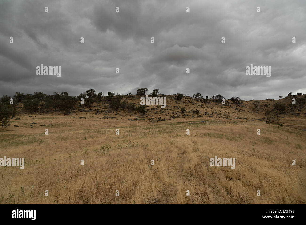Una fotografia di alcuni grigi pioggia nuvole sopra un molto secco colpite dalla siccità azienda australiana. Foto Stock