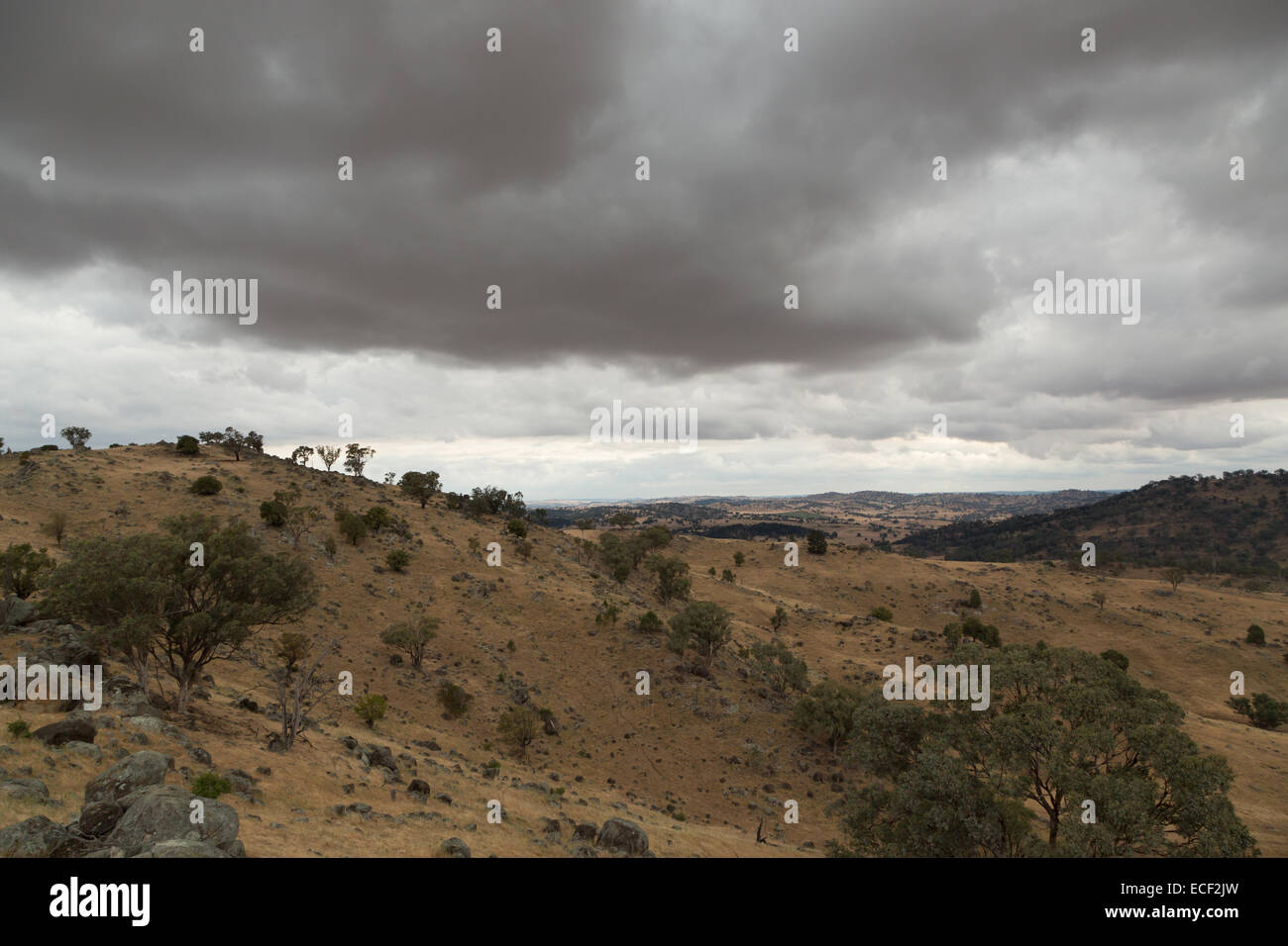 Una fotografia di alcuni grigi pioggia nuvole sopra un molto secco colpite dalla siccità azienda australiana. Foto Stock