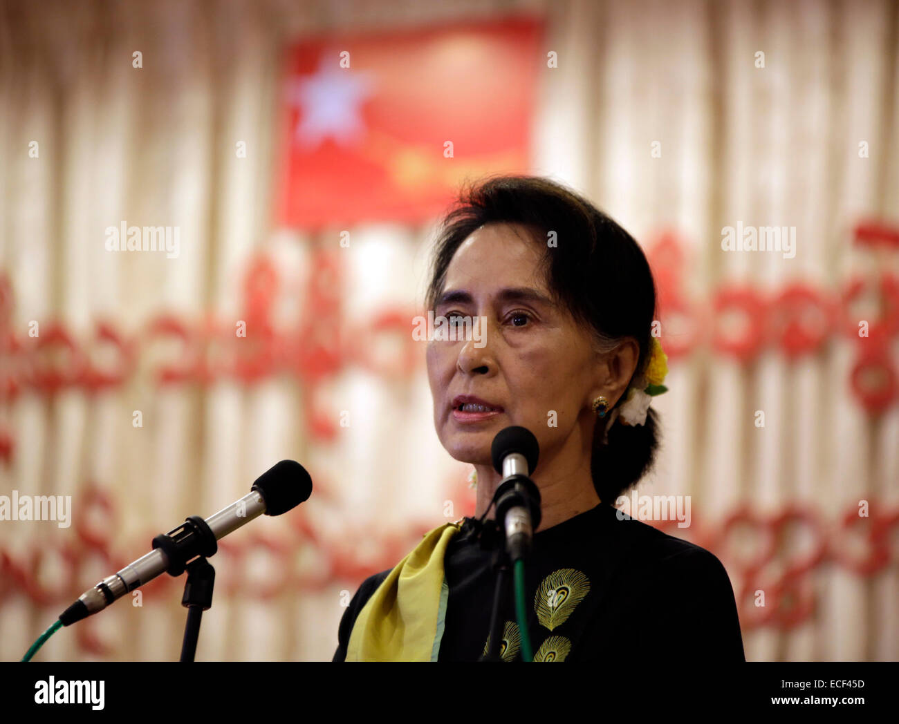 Yangon, Myanmar. Xiii Dec, 2014. Myanmar opposizione della Lega nazionale per la democrazia (NLD) leader Aung San Suu Kyi offre un discorso durante la cerimonia di apertura del Comitato Centrale per la riunione del NLD a Yangon, Myanmar, Dic 13, 2014. Credito: U Aung/Xinhua/Alamy Live News Foto Stock