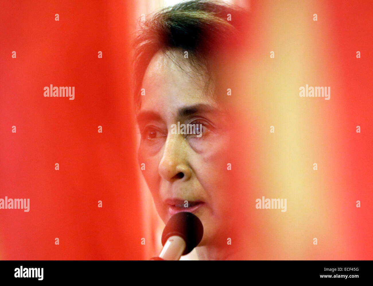 Yangon, Myanmar. Xiii Dec, 2014. Myanmar opposizione della Lega nazionale per la democrazia (NLD) leader Aung San Suu Kyi offre un discorso durante la cerimonia di apertura del Comitato Centrale per la riunione del NLD a Yangon, Myanmar, Dic 13, 2014. Credito: U Aung/Xinhua/Alamy Live News Foto Stock