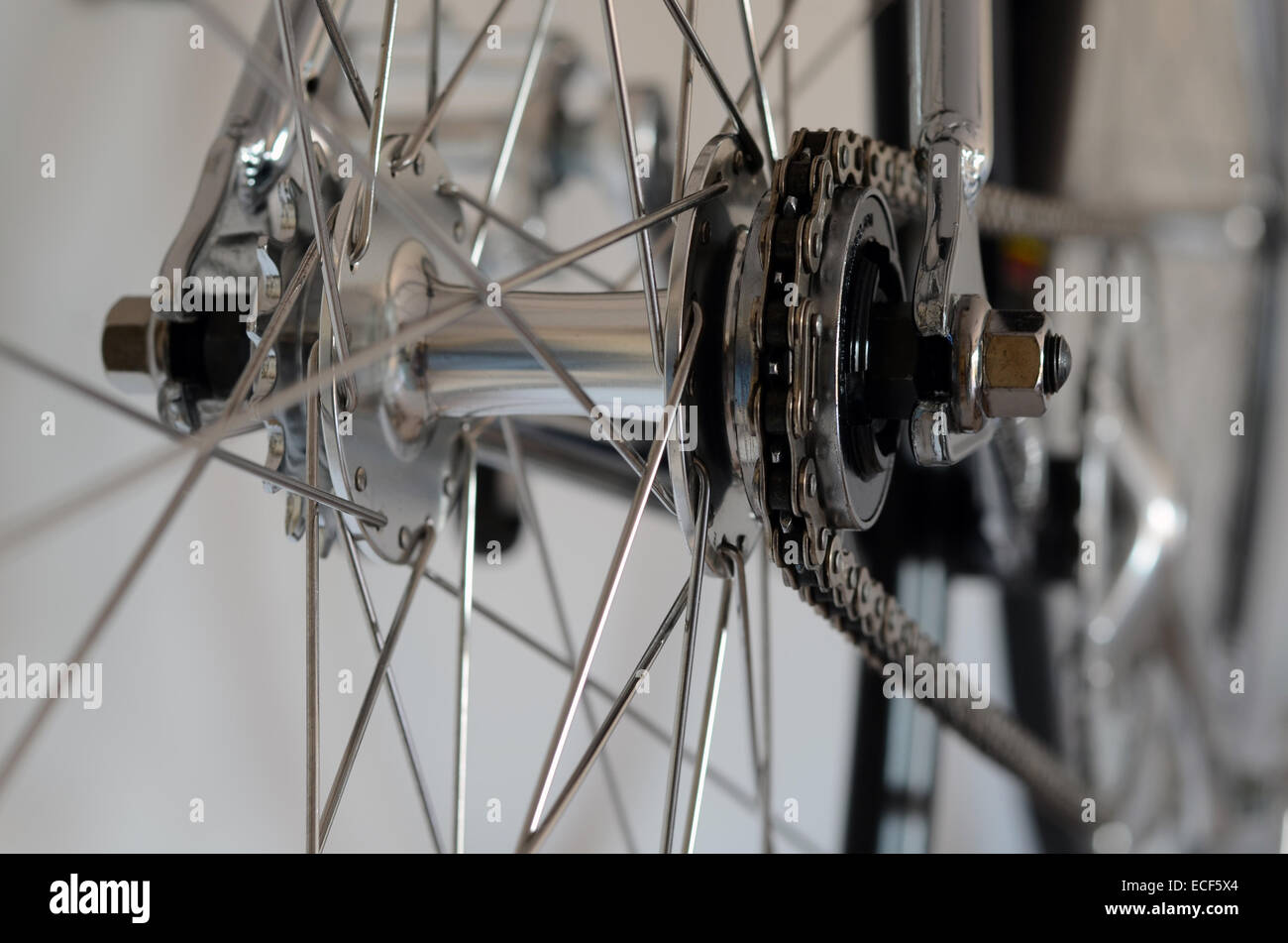 Close up della bicicletta vista di dettaglio della ruota posteriore con la catena e la ruota dentata Foto Stock