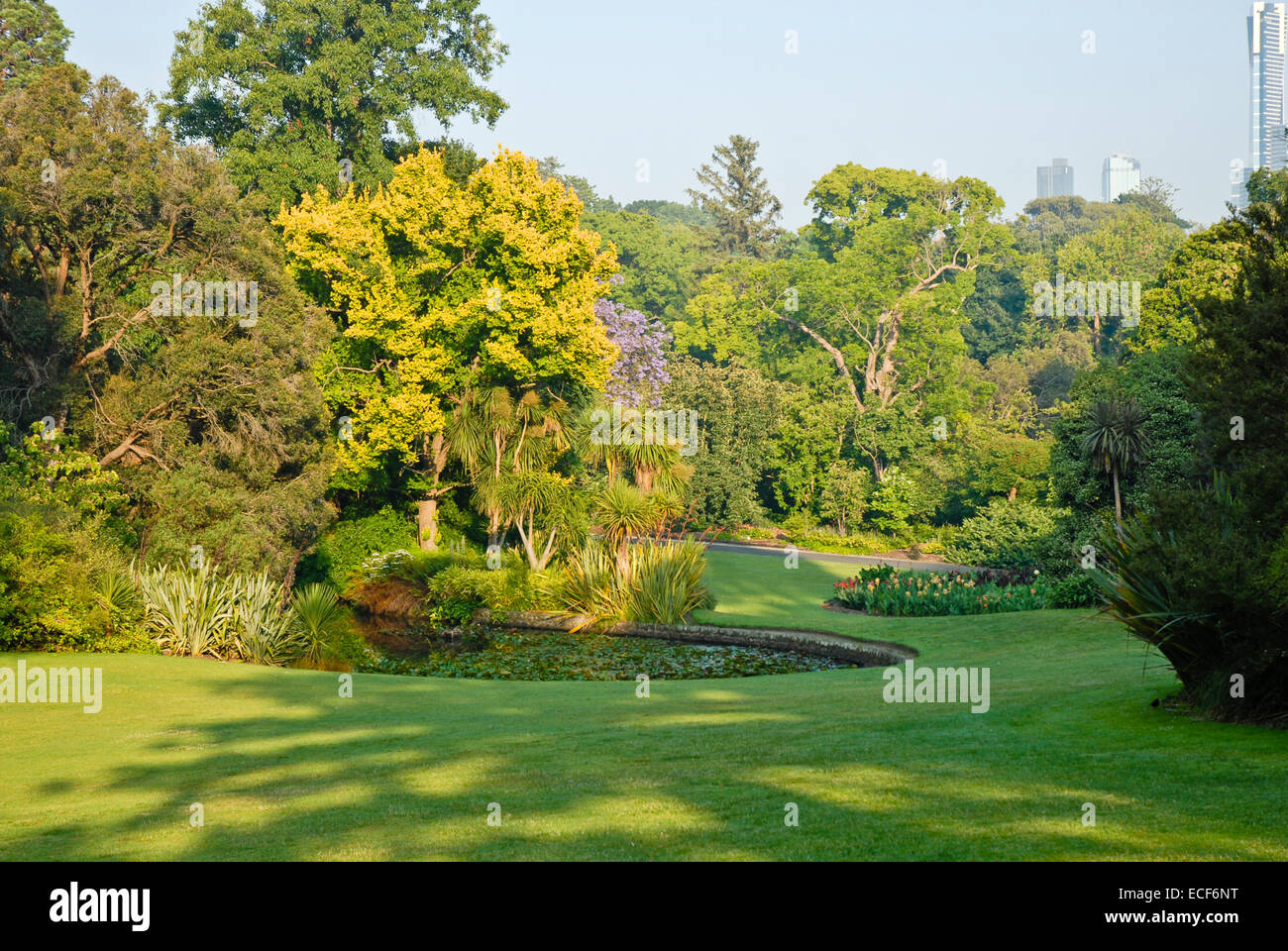 Il Royal Botanic Gardens Melbourne,internazionalmente rinomati giardini botanici si trova nei pressi del centro di Melbourne, Victoria, Australia Foto Stock