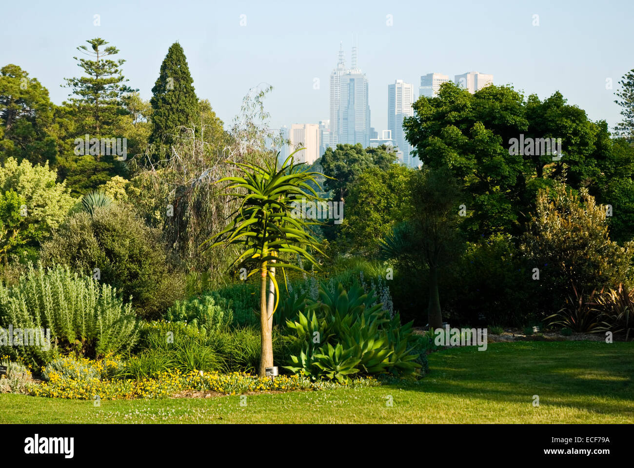 Il Royal Botanic Gardens Melbourne,internazionalmente rinomati giardini botanici si trova nei pressi del centro di Melbourne, Victoria, Australia Foto Stock