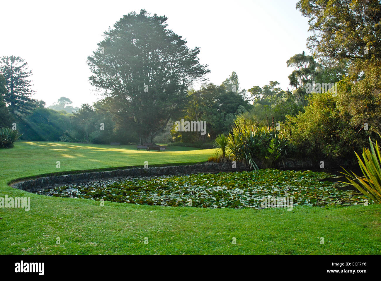 Il Royal Botanic Gardens Melbourne,internazionalmente rinomati giardini botanici si trova nei pressi del centro di Melbourne, Victoria, Australia Foto Stock