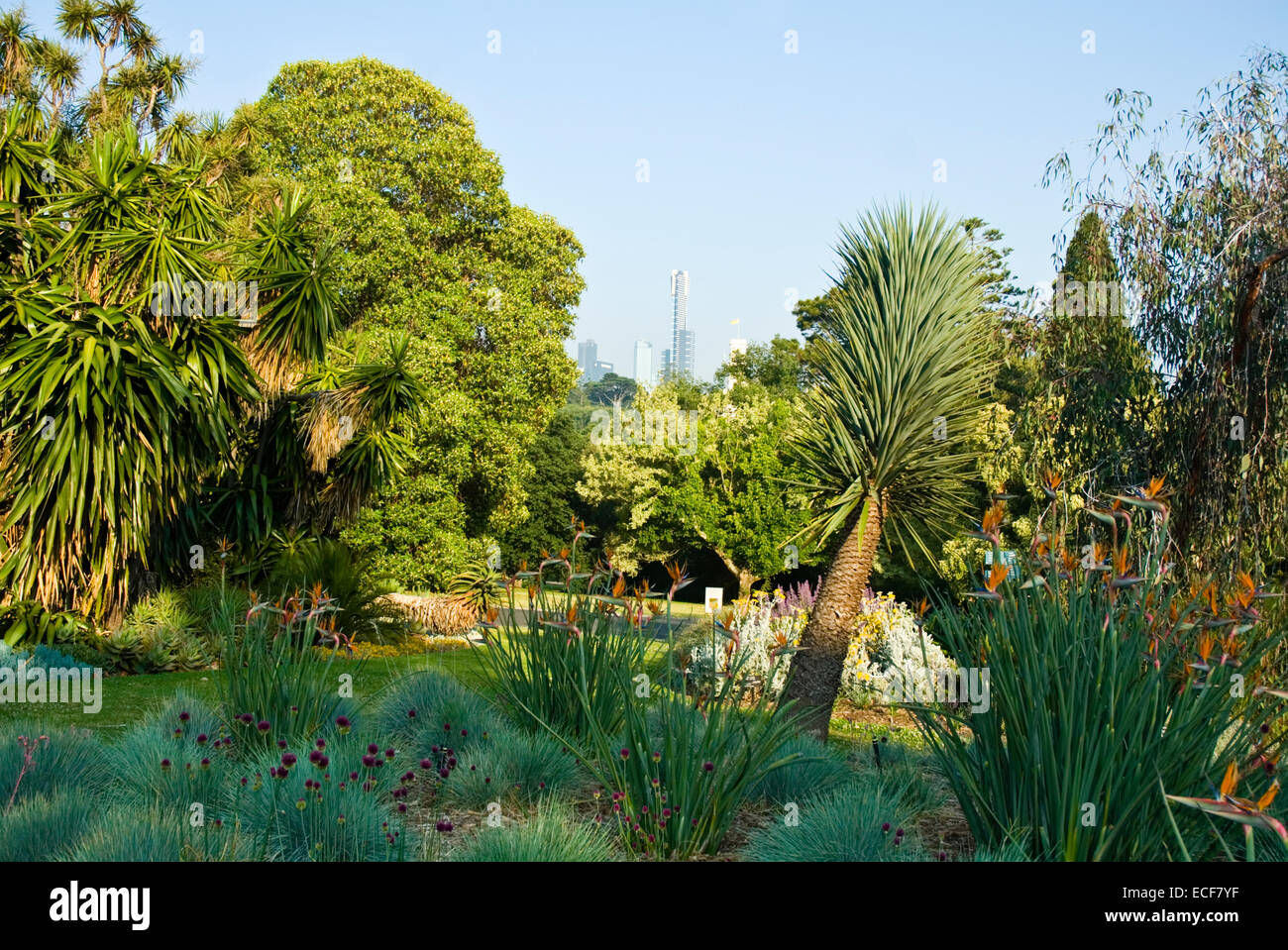 Il Royal Botanic Gardens Melbourne,internazionalmente rinomati giardini botanici si trova nei pressi del centro di Melbourne, Victoria,Aus Foto Stock