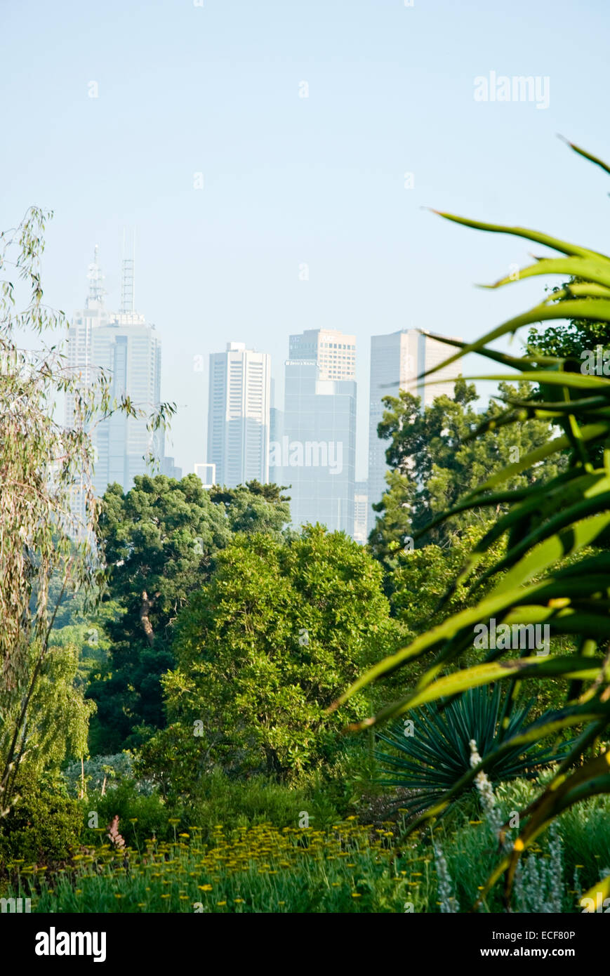 Il Royal Botanic Gardens Melbourne,internazionalmente rinomati giardini botanici si trova nei pressi del centro di Melbourne, Victoria,Aus Foto Stock