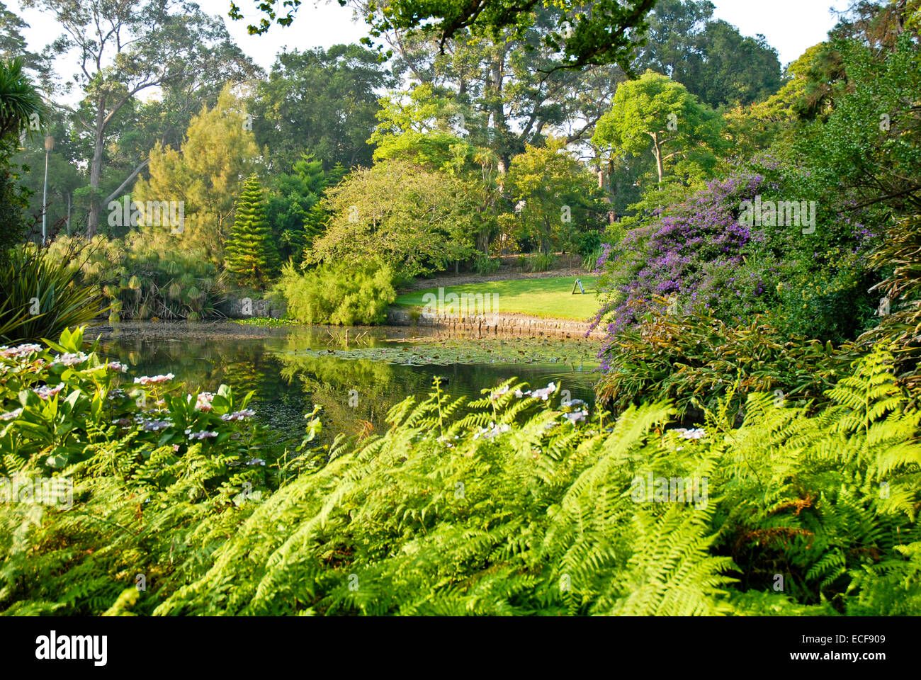 Il Royal Botanic Gardens Melbourne,internazionalmente rinomati giardini botanici si trova nei pressi del centro di Melbourne, Victoria, Australia Foto Stock