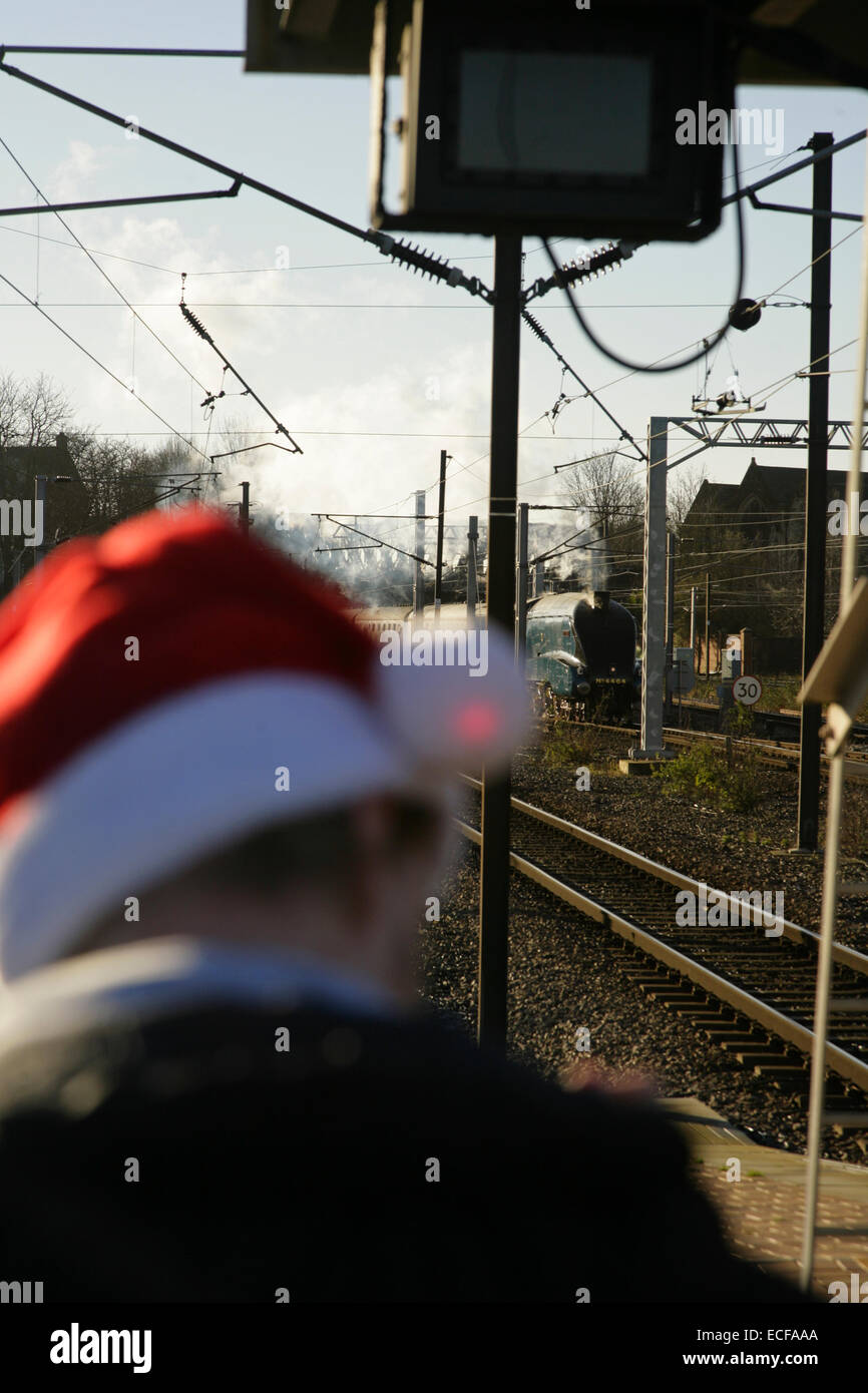 La stazione ferroviaria di York, Regno Unito, 13 dicembre 2014. Snellito LNER A4 class locomotiva a vapore 4464 'Tarabuso', suor locomotore del record di 'Mallard', si avvicina alla stazione dopo il traino del 'Natale White Rose' tour da London King's Cross a York. Credito: David soulsby/Alamy Live News Foto Stock