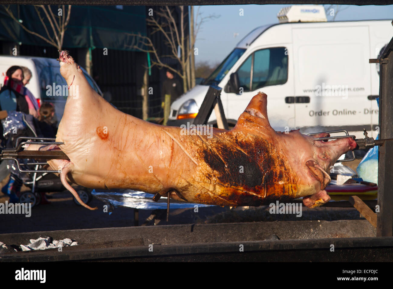 Spiedo di maiale arrosto, Natale Fayre, Jimmy's Farm, Ipswich, Suffolk, Regno Unito Foto Stock