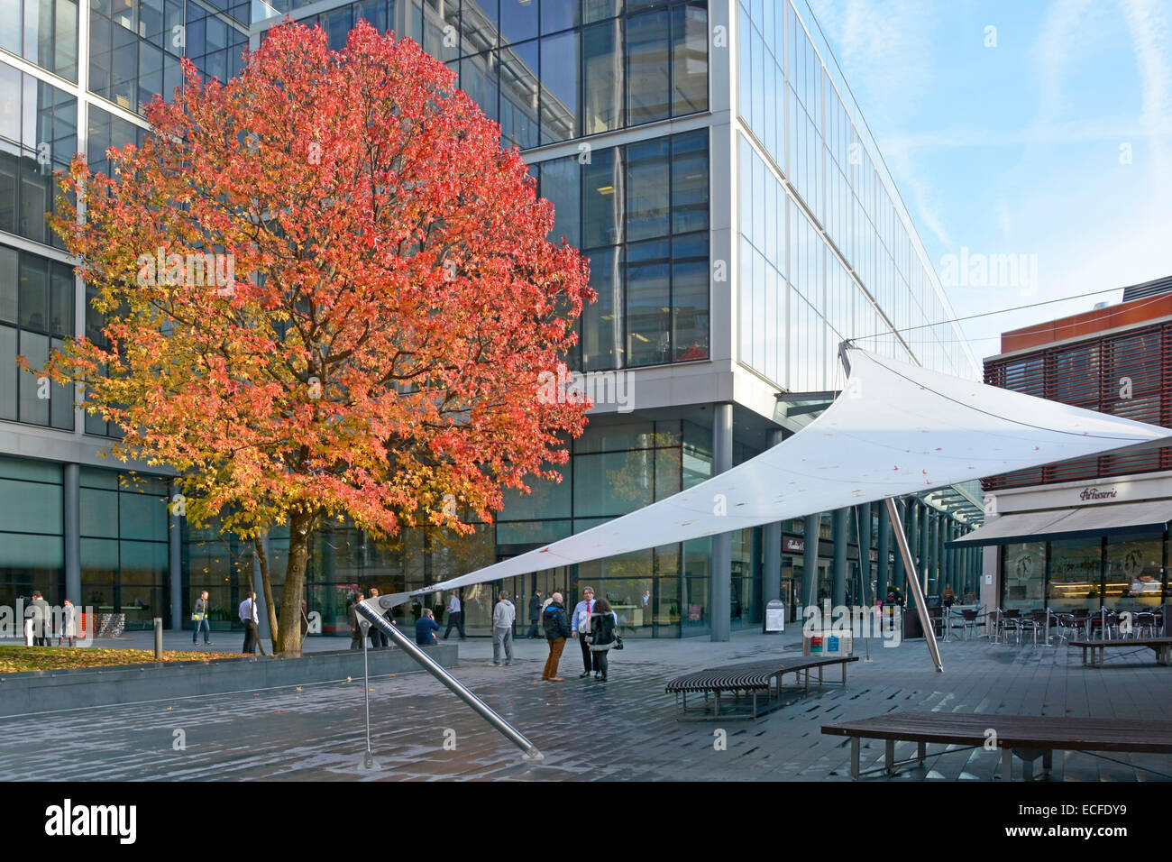 Sviluppo di uffici moderni e scena di strada in Bishops Square Spitalfields con colori autunnali sull'albero su un giorno autunnale umido City of London Inghilterra UK Foto Stock