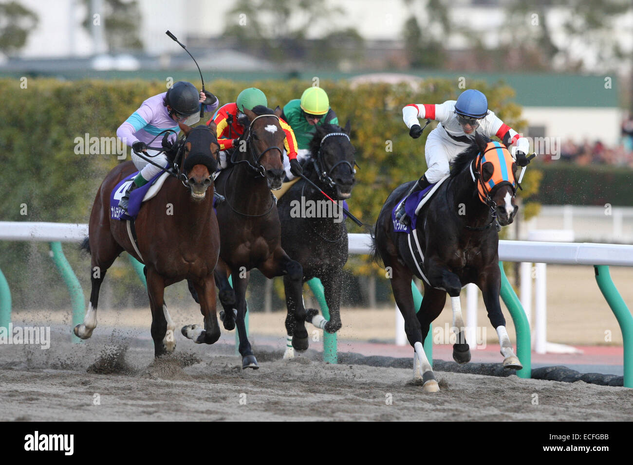 Aichi, Giappone. Il 7 dicembre, 2014. Namura Victor (Futoshi Komaki), leggenda romana (Yasunari Iwata), Kurino Star O ( Ryan Moore), Hokko Tarumae (Hideaki Miyuki) Horse Racing : Hokko Tarumae cavalcato da Hideaki Miyuki vince la Champions Cup a Chukyo Racecourse di Aichi in Giappone . © Eiichi Yamane/AFLO/Alamy Live News Foto Stock