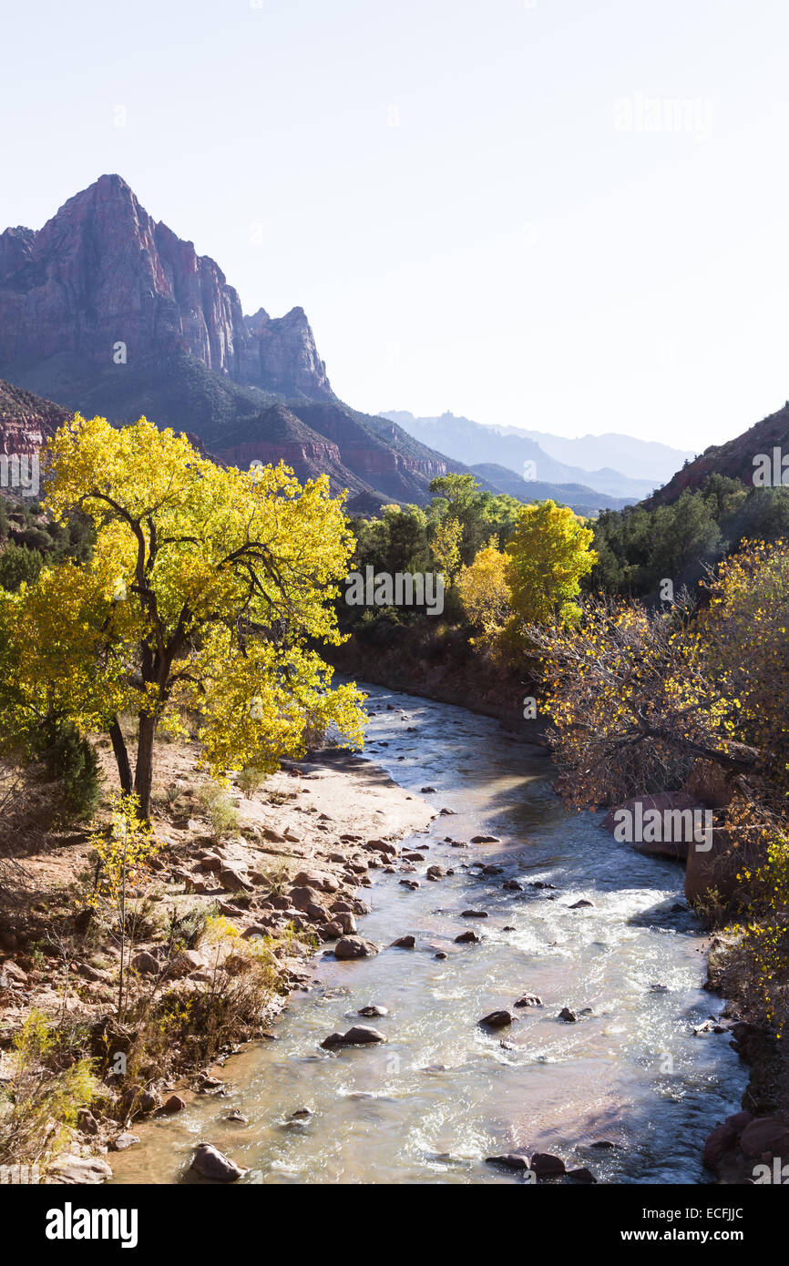 Visualizza in basso il fiume vergine che fluisce verso la sentinella torre in Sion NP in autunno Foto Stock