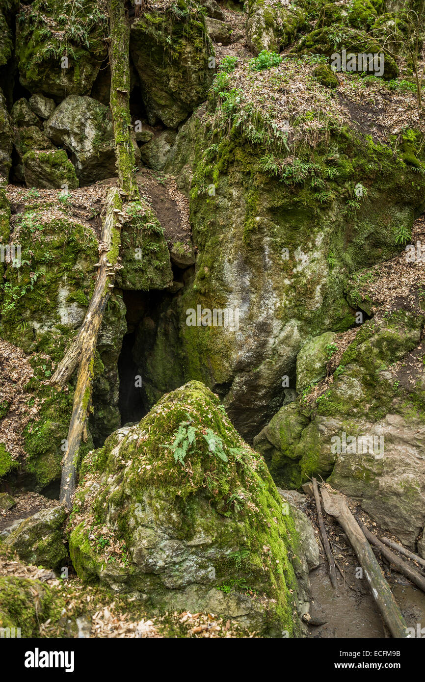 L'inghiottitoio del torrente Jedovnický Potok vicino al villaggio di Rudice Foto Stock