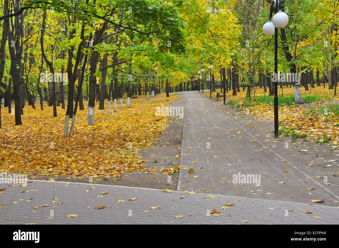Autunno Park al momento della defogliazione. Sfondo di foglie cadute nel mese di ottobre. Foto Stock