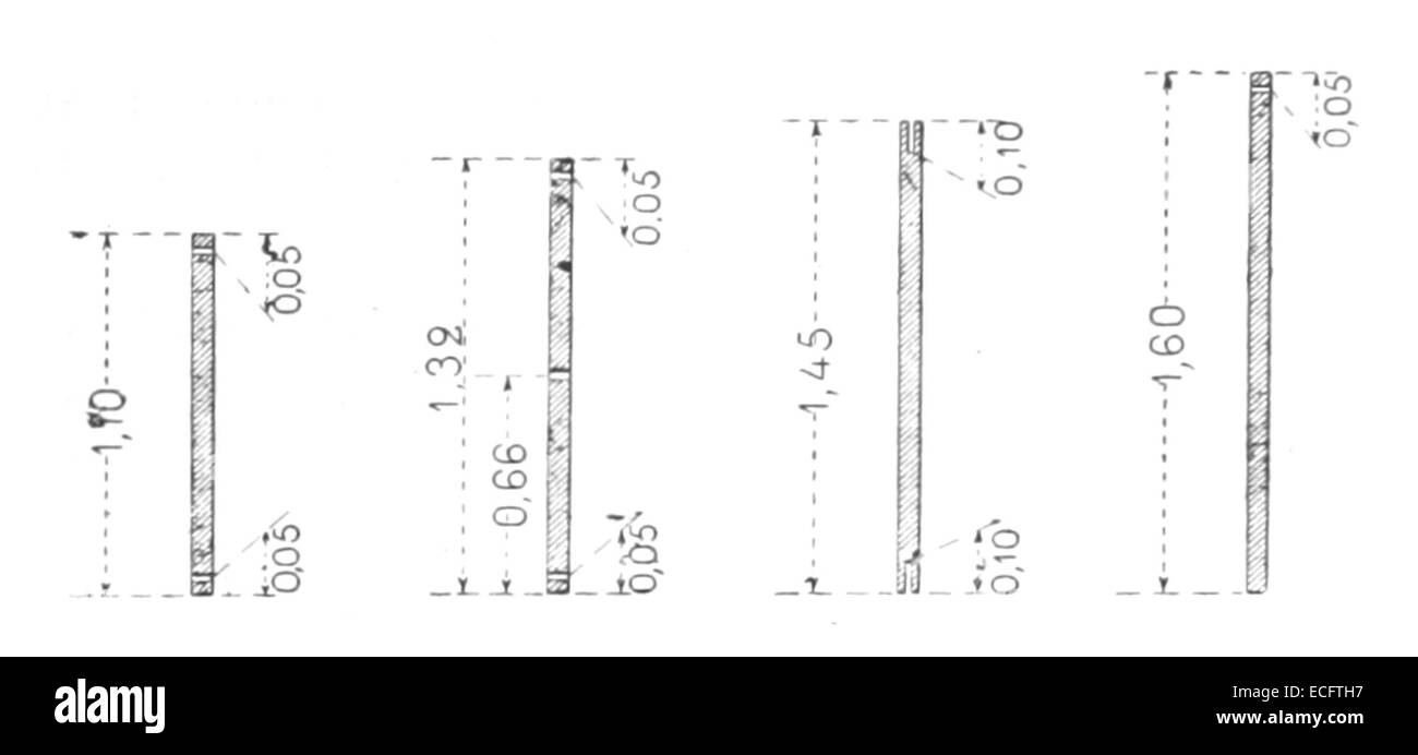 ROQUES(1892) p013 Fig.3 Foto Stock