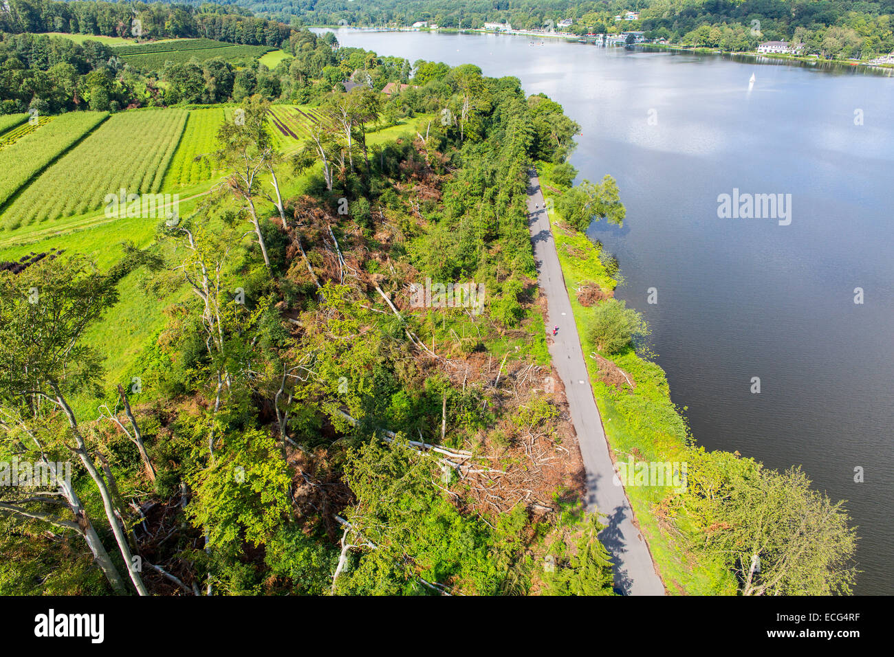 Danni provocati dalla tempesta in foresta Schellenberger, sopra il lago Baldeneysee, causata da una forte tempesta ELA, oltre l'area Rhine-Ruhr, Foto Stock