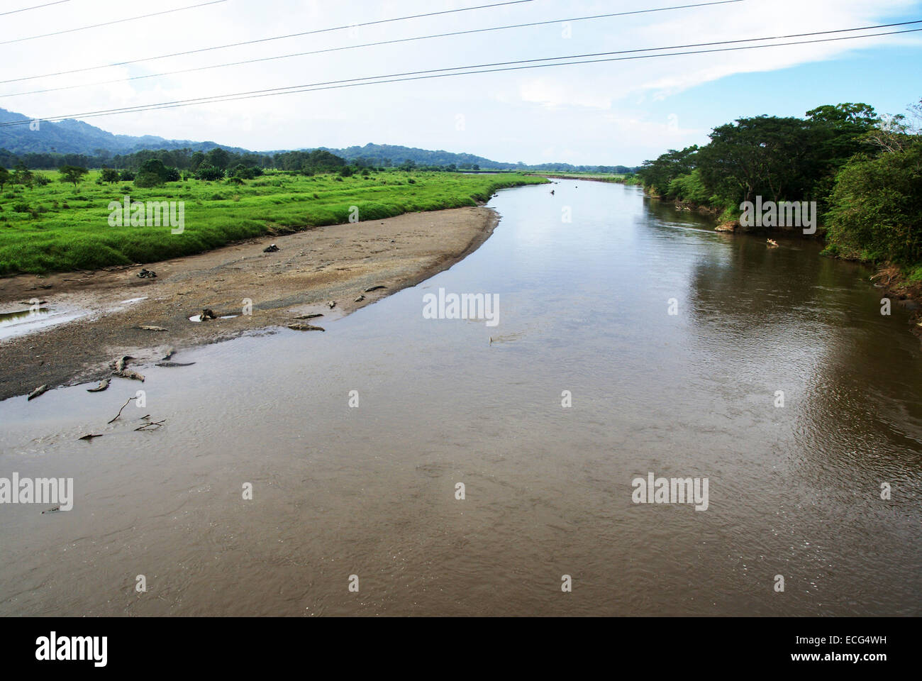 American coccodrilli (Crocodylus acutus) nel fiume Tarcoles, Costa Rica Foto Stock