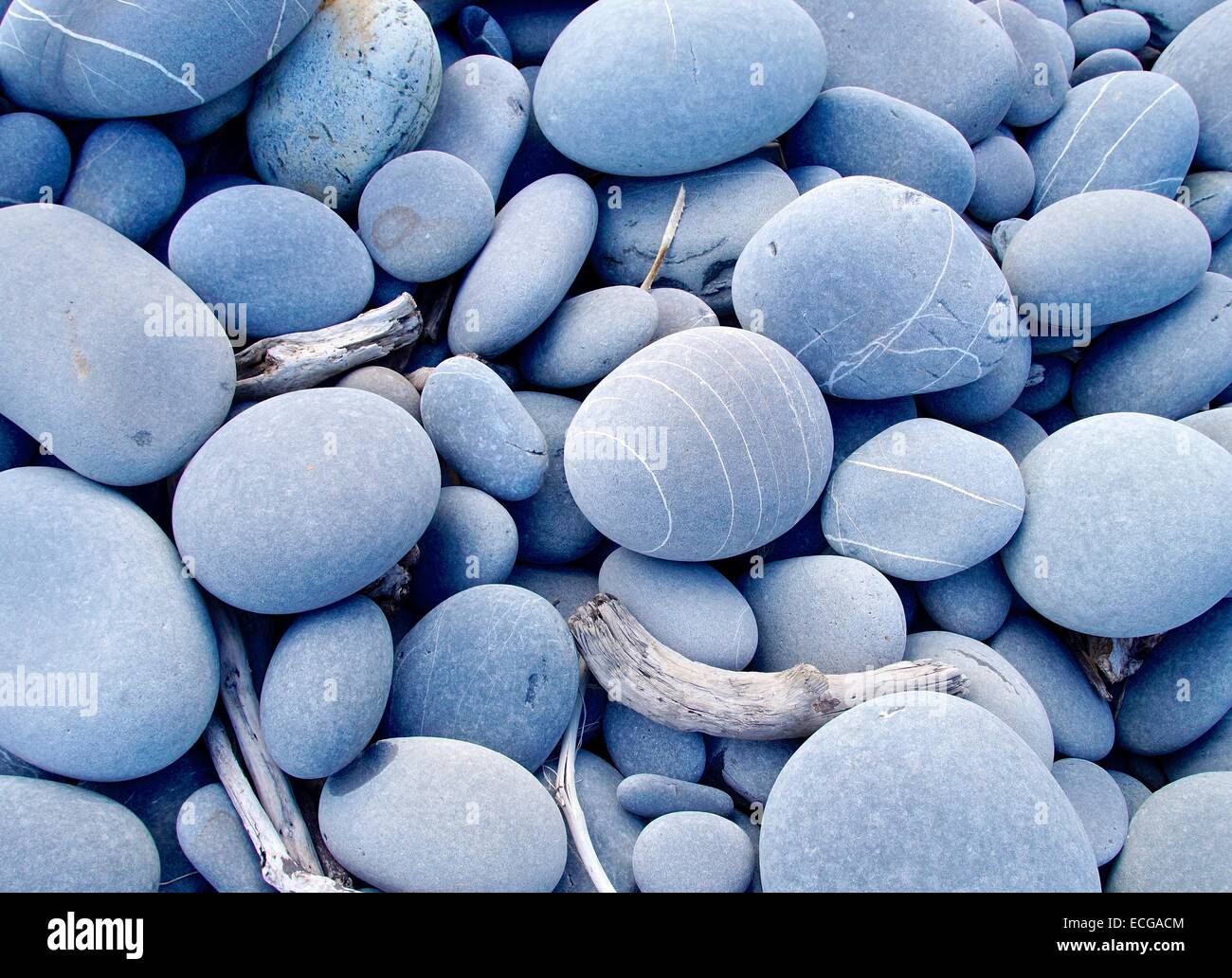 Il disco ciottoli closeup sulla spiaggia Foto Stock