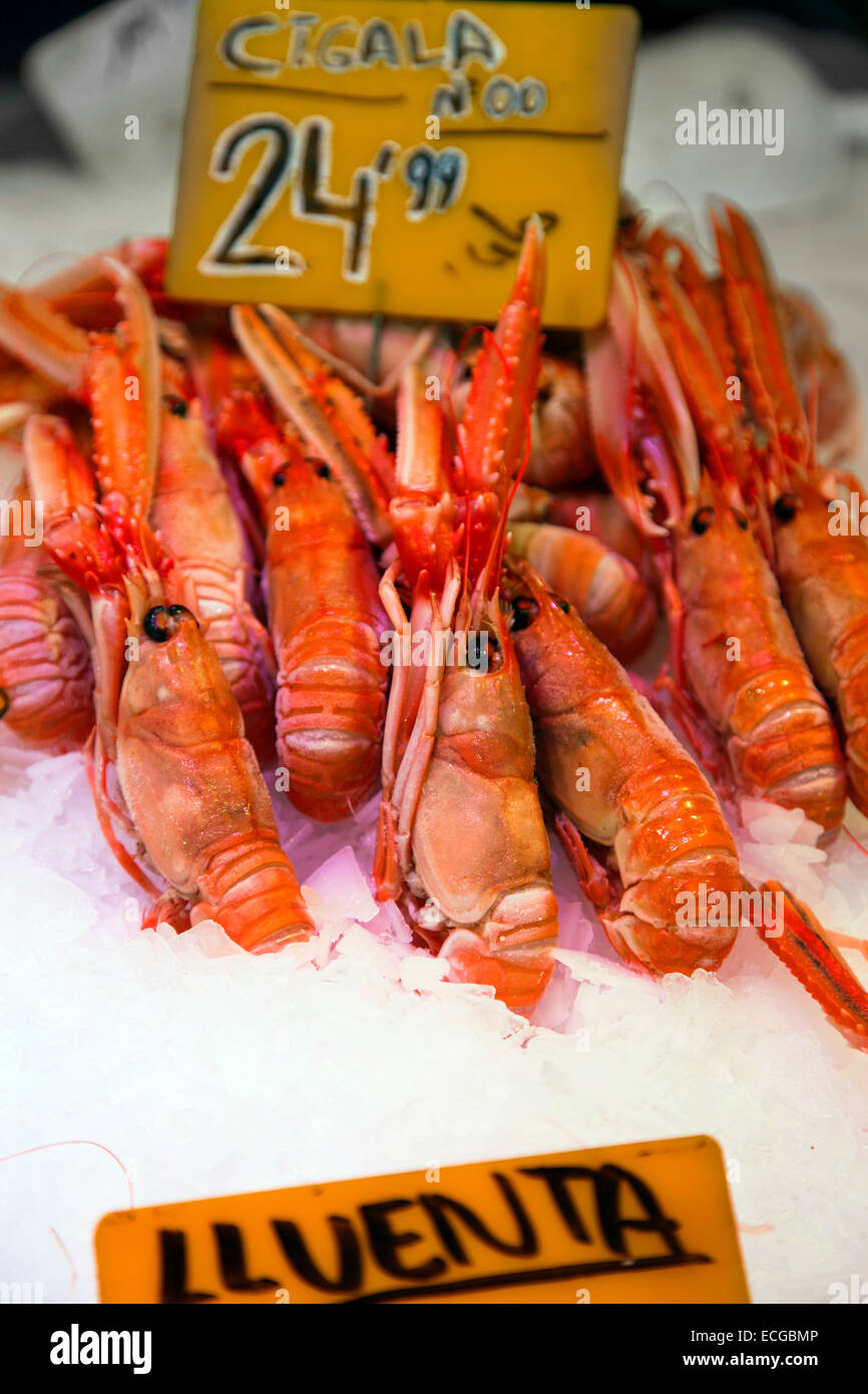 Molti gli scampi in un mercato in stallo. Foto Stock