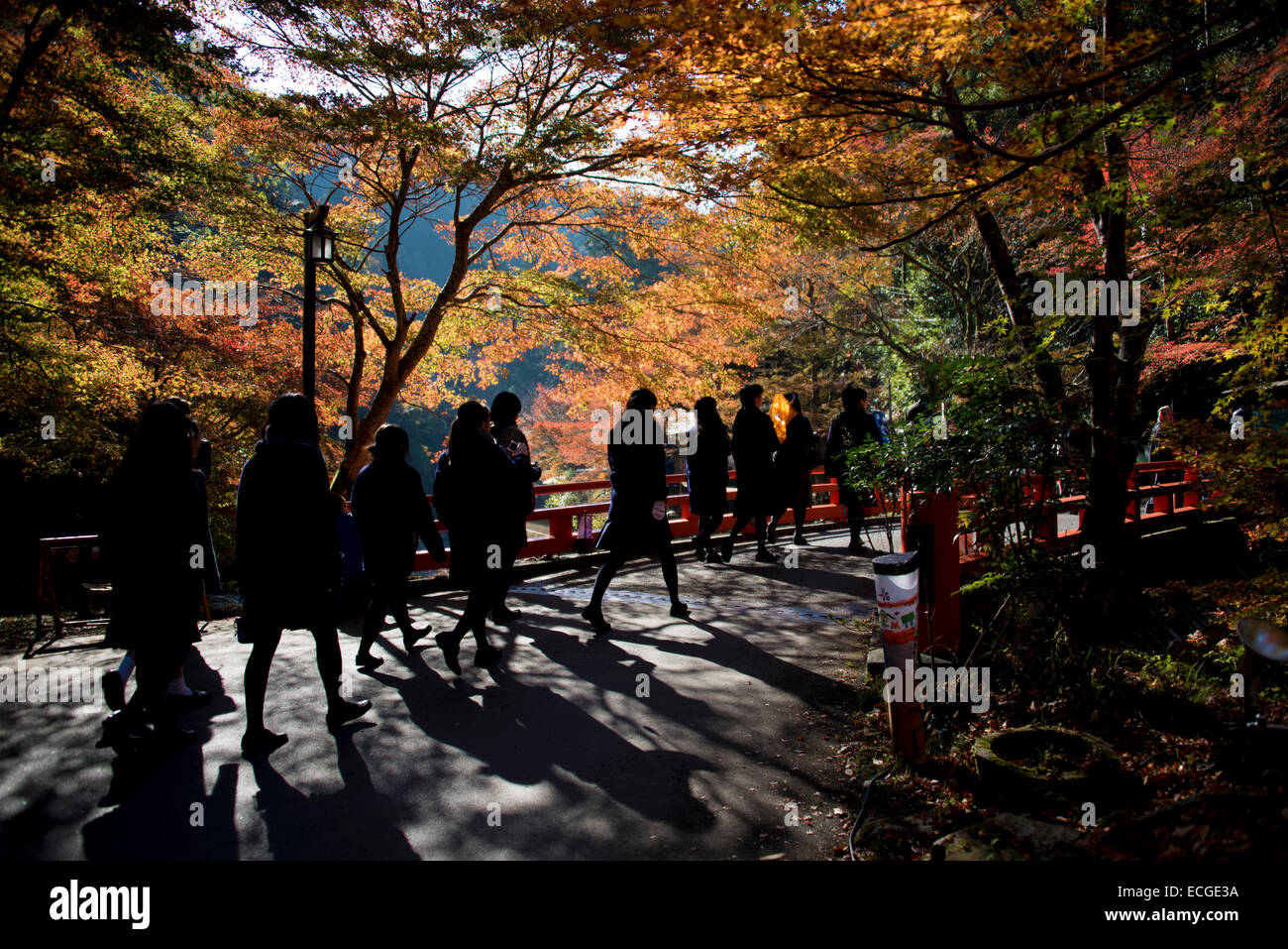 Gruppo scolastico di ragazze visitando il colore di autunno in Takao, Kyoto, Giappone. Foto Stock