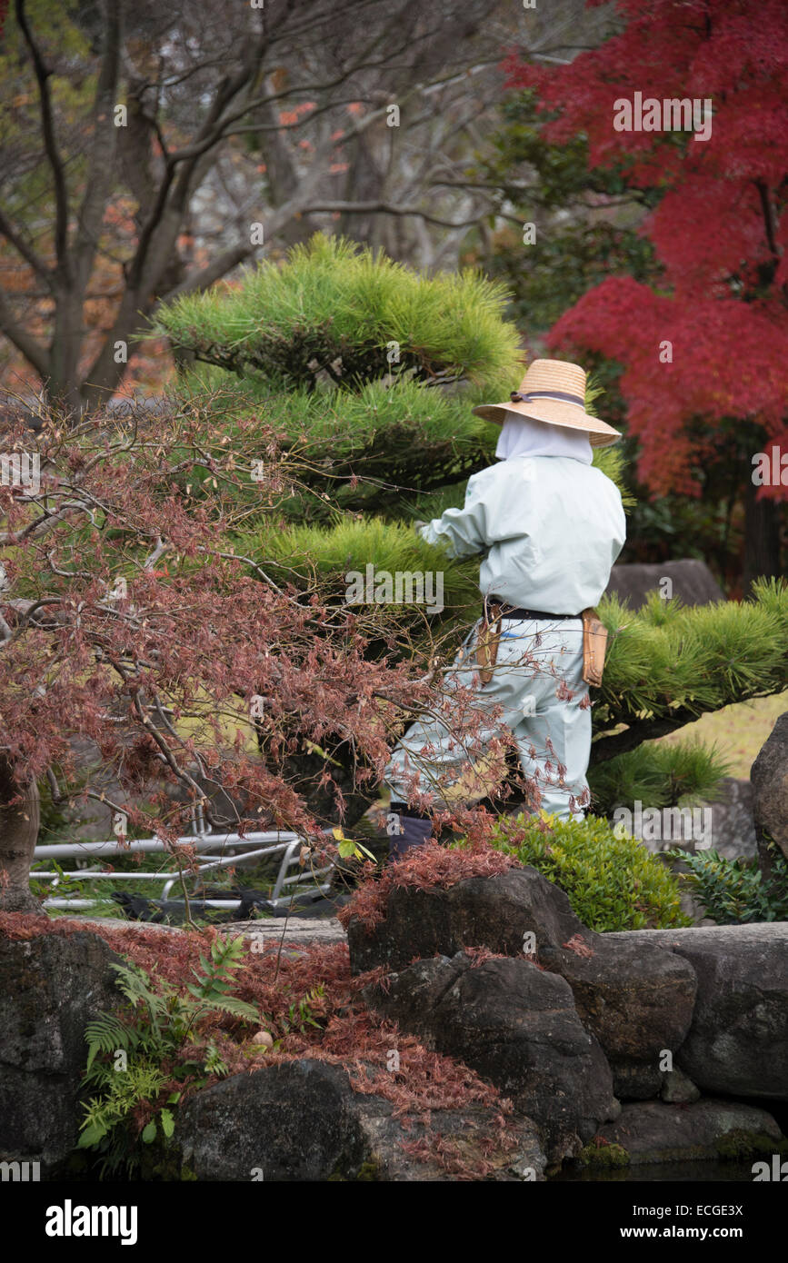 Giardiniere giapponese la potatura di un albero a Himeji giardino, Giappone. Foto Stock