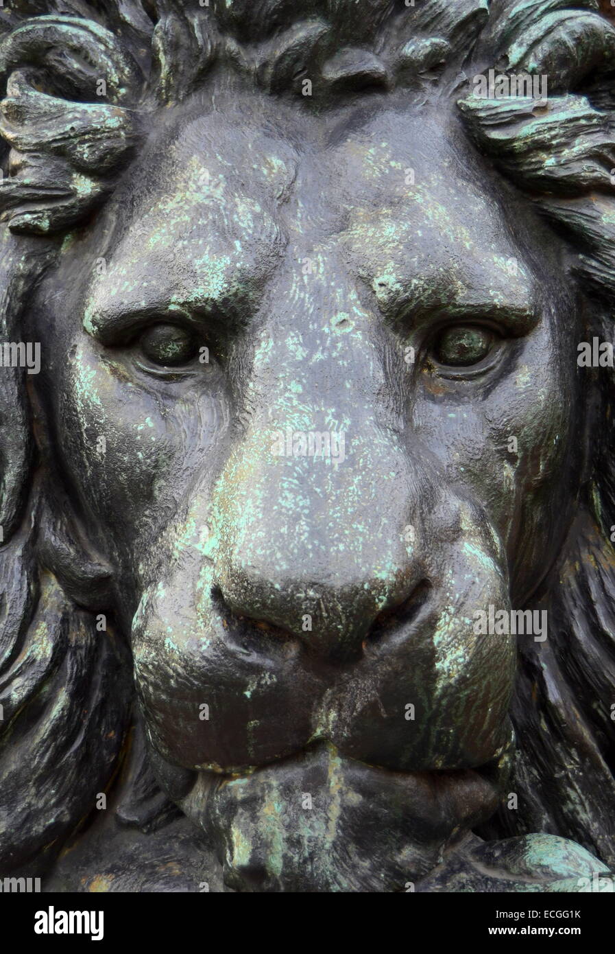 Statua di bronzo di un Lion Foto Stock