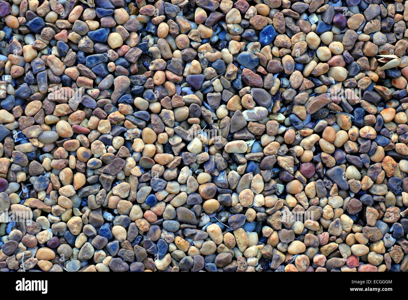 Grungy Pebble Dash-Texture Foto Stock