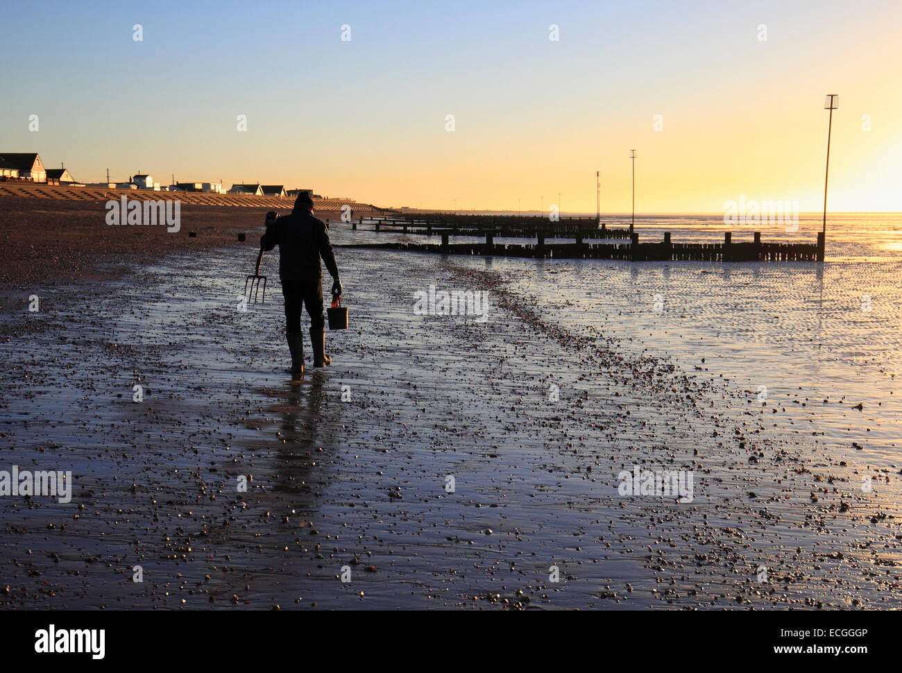 Una esca digger torna a casa al tramonto sulla spiaggia Heacham. Foto Stock