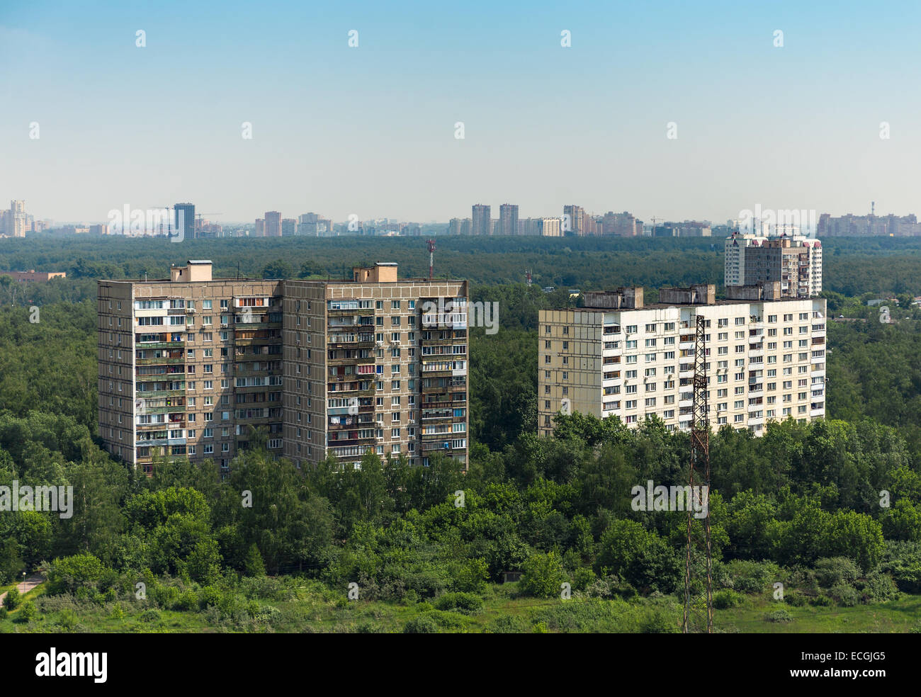 Gli edifici del pannello in foresta, Russia Foto Stock