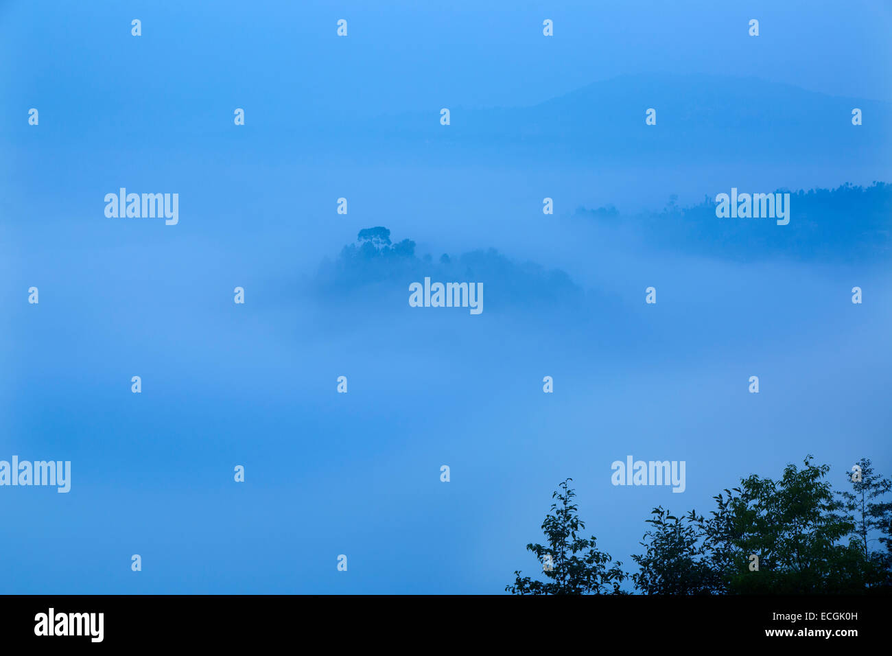 Nebbia di mattina raccolta trovanella Balthali Zona villaggio a 40 chilometri da Kathmandu in Nepal Foto Stock