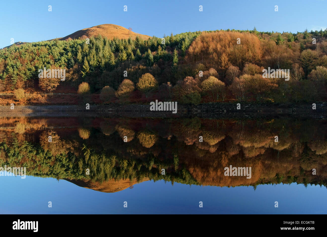 UK,Derbyshire,Peak District,Ladybower serbatoio e Whinstone Lea Tor riflessioni Foto Stock