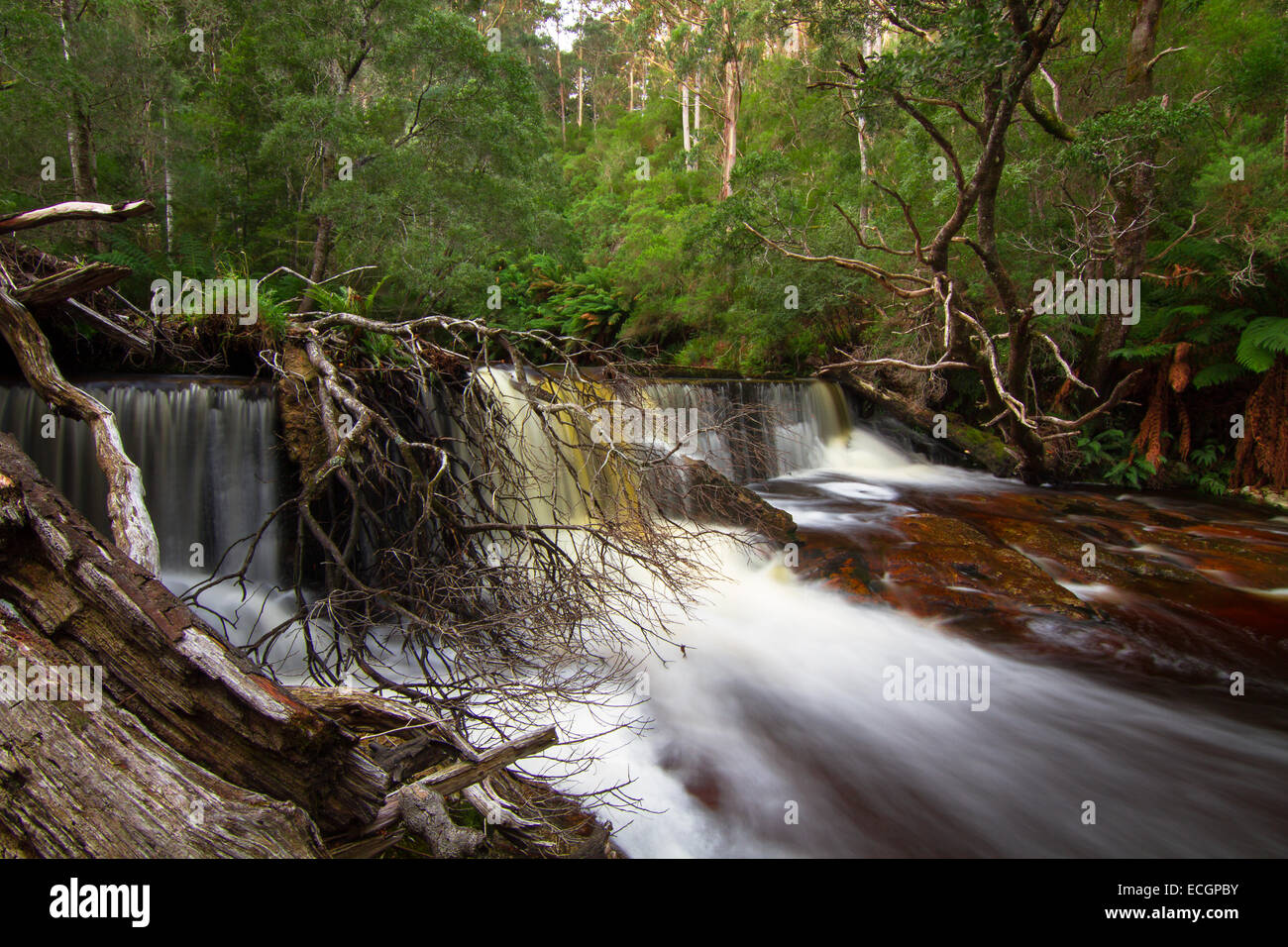 Cascata vicino a Sant Helens, NE LA Tasmania, Australia Foto Stock