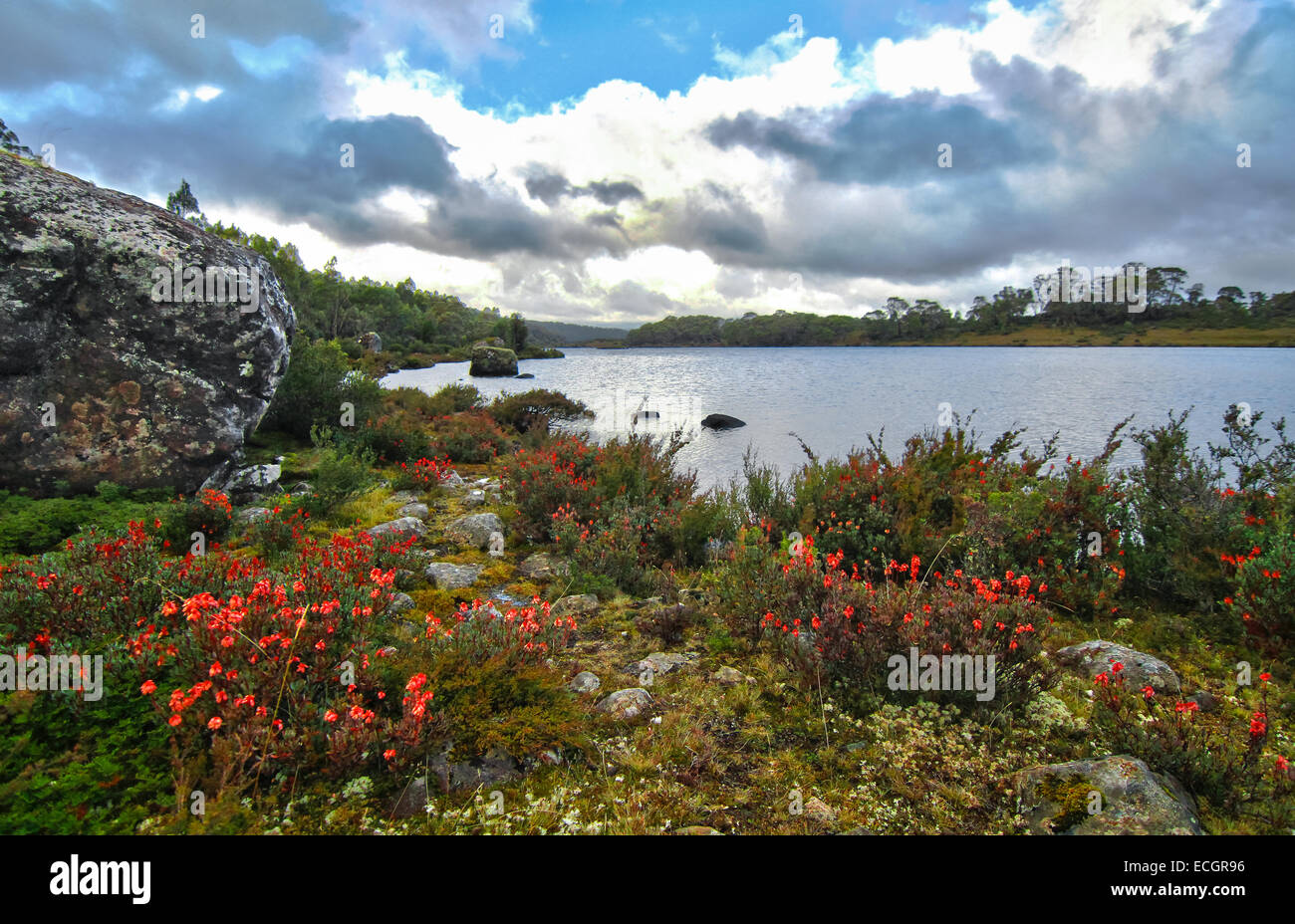 Il lago di Sonia, mura di Gerusalemme National Park, la Tasmania, Australia Foto Stock