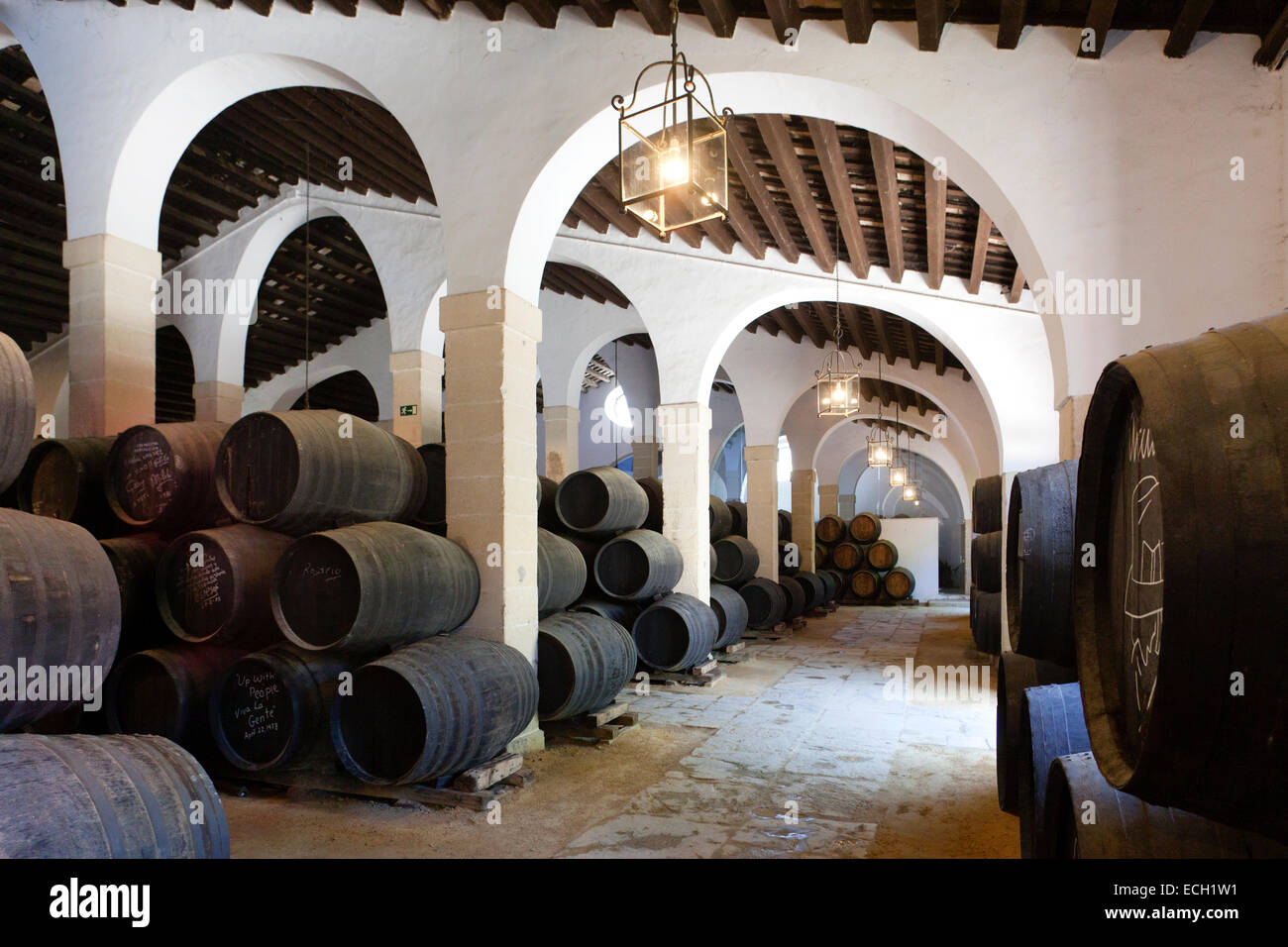 Botti di rovere con vino di Xeres, Bodegas Gonzalez Byass, Jerez de la Frontera, la provincia di Cadiz Cadice, Andalusia, Spagna, Europa Foto Stock
