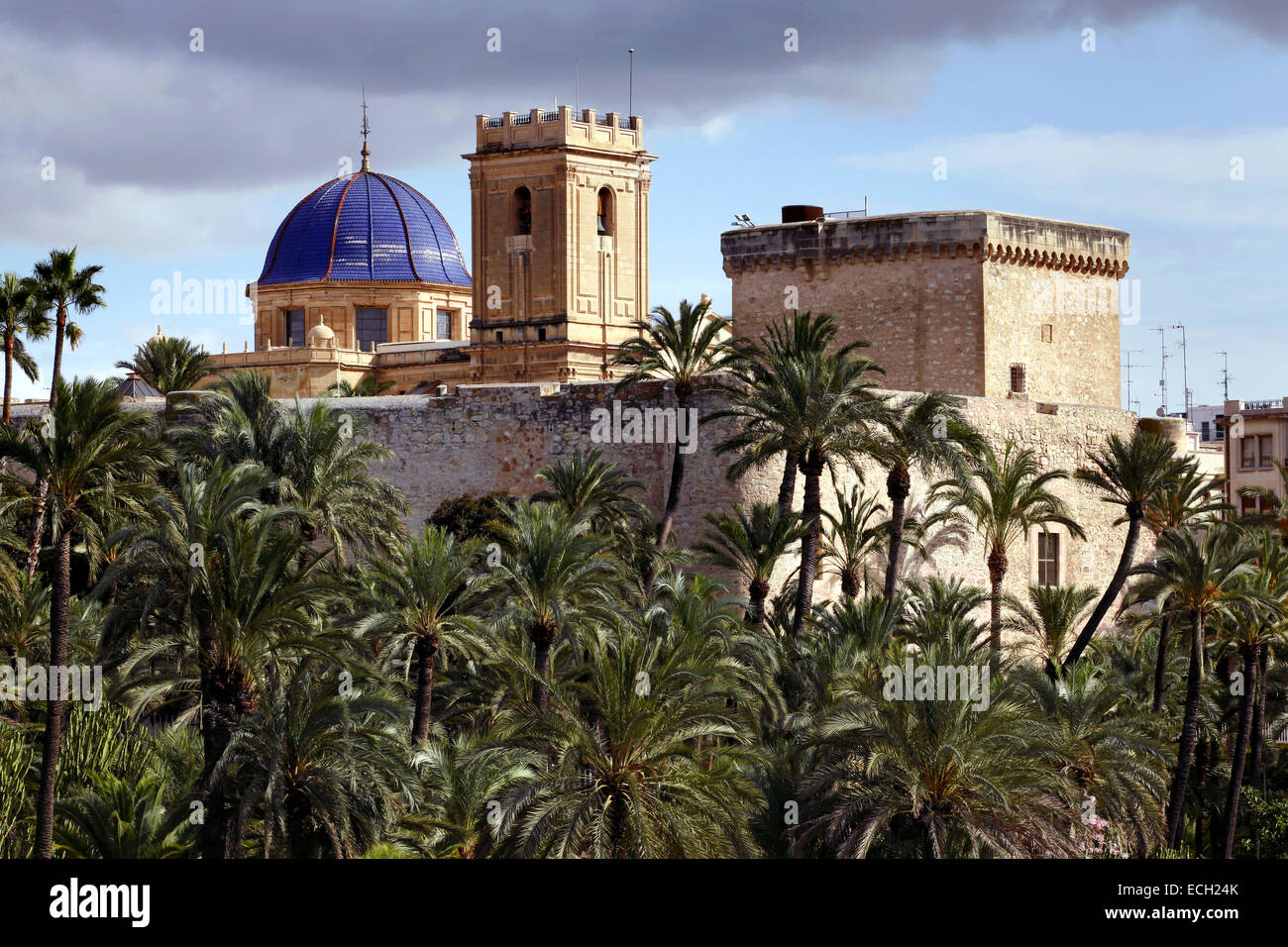 Basilica de Santa Maria, Palacio de Altamira / Palazzo Altamira e Palmeral de Elche palmeto di Elche - Elx, Alicante, Spagna Foto Stock