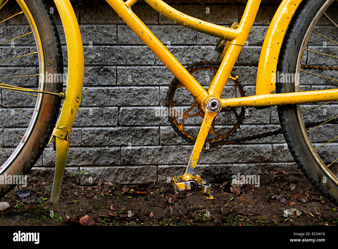 Giallo bicicletta dettaglio Foto Stock
