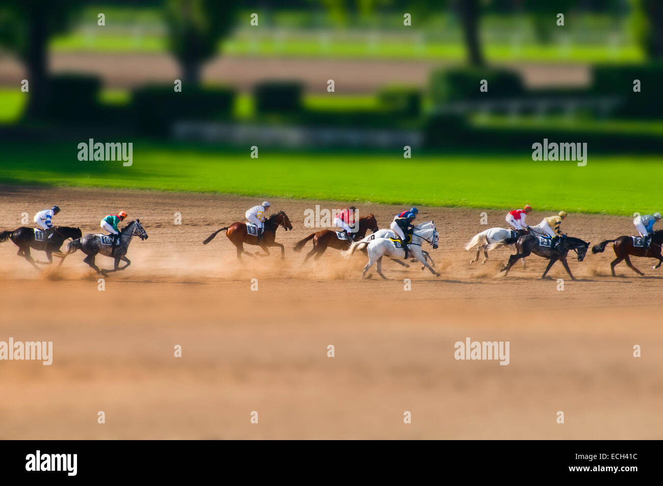 Corsa di cavalli con effetto miniatura Foto Stock