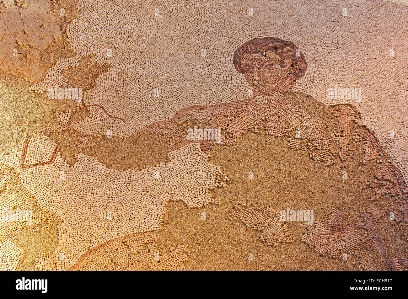 Mosaico a Carranque parco archeologico romano, provincia di Toledo, Castilla la Mancha, in Spagna, Europa Foto Stock