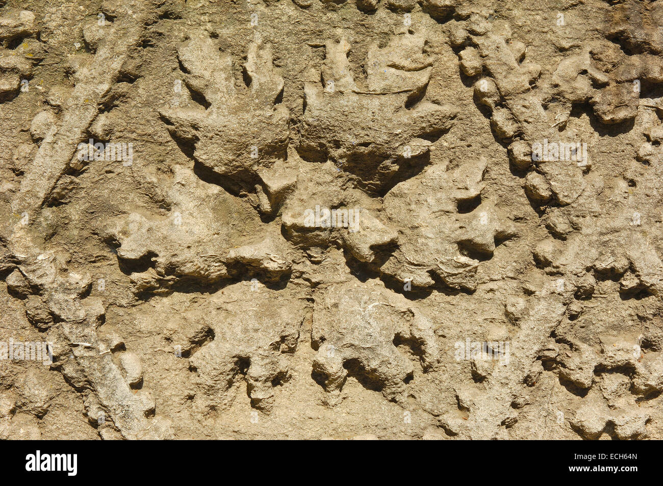 Teatro romano, dettaglio, Arles, Bouches du Rhone, Provence, Francia Foto Stock