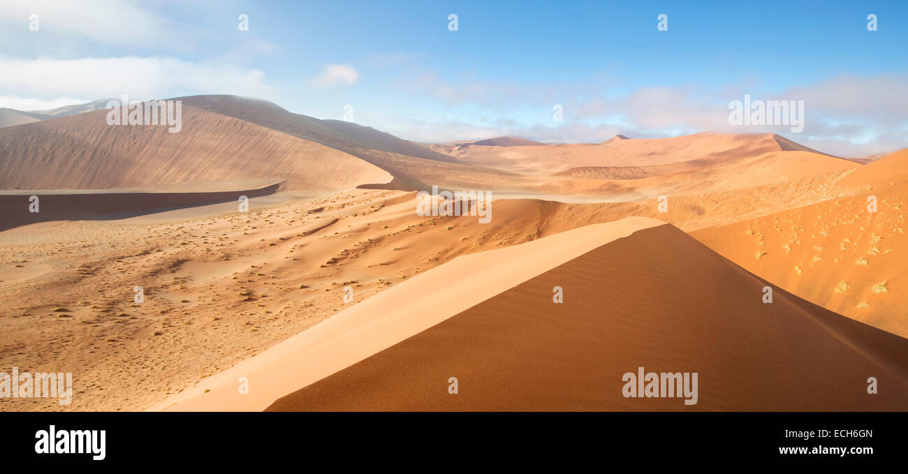 Vista dalla duna 45, dune di sabbia, Sossusvlei, Namib Desert, Namibia Foto Stock
